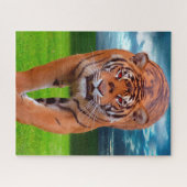 虎の大きな猫。 ジグソーパズル (横)