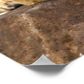 虎の子は岩に穴を開ける ポスター (角)