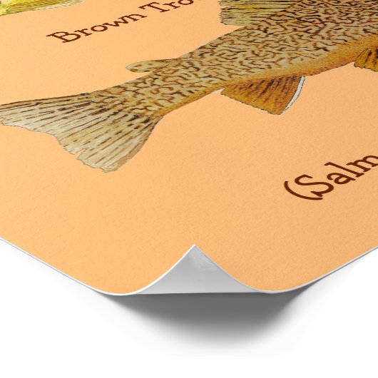 虎の子作り ポスター (角)