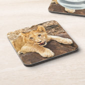 虎の子石の一休みを取ります コースター (左側)