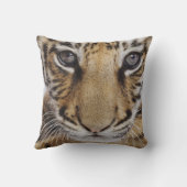 虎の子 クッション (裏面)