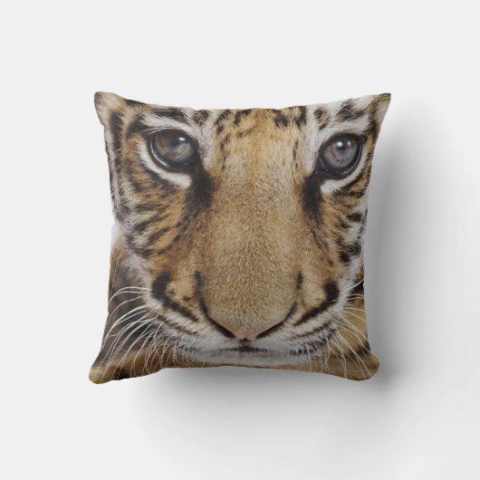 虎の子 クッション (裏面)