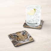 虎の子 コースター (右側)