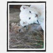 虎の子 フリースブランケット (正面)