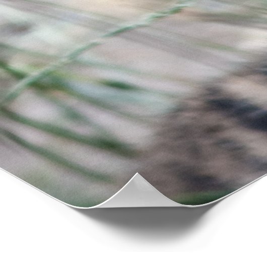 虎の子 ポスター (角)