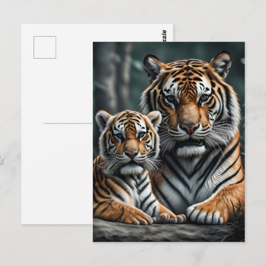 虎の子 ポストカード (正面/裏面)