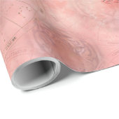 虎の年 ラッピングペーパー (ロールコーナー)