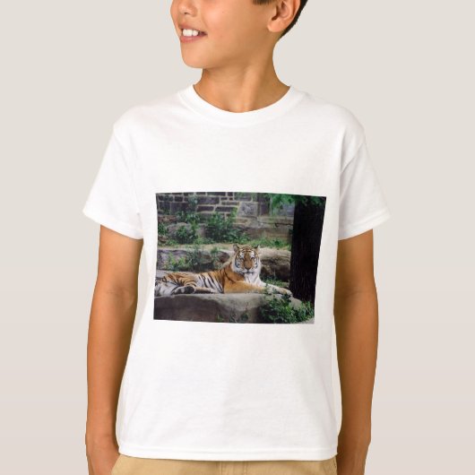 虎の年 Tシャツ (正面)