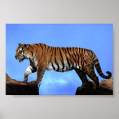 虎の成功 ポスター (正面)