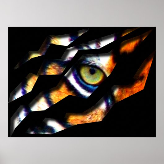 虎の目が~を突き破る ポスター (正面)