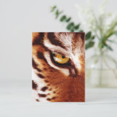 虎の目の写真 ポストカード (スタンド正面)