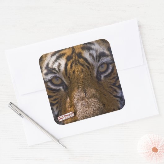 虎の目 スクエアシール (封筒)