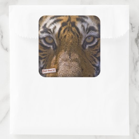 虎の目 スクエアシール (バッグ)