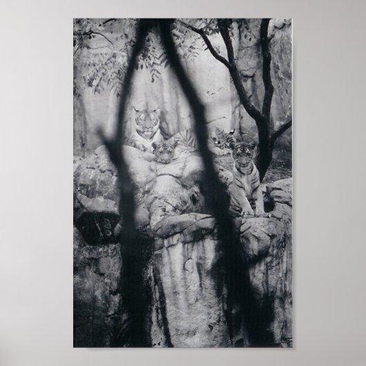 虎の目 ポスター (正面)