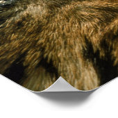 虎の目 ポスター (角)