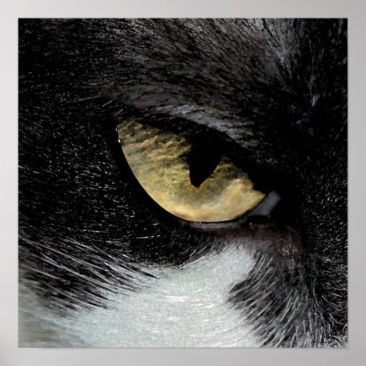 虎の目 ポスター (正面)