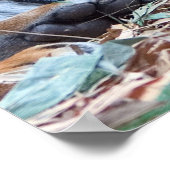 虎の目 ポスター (角)