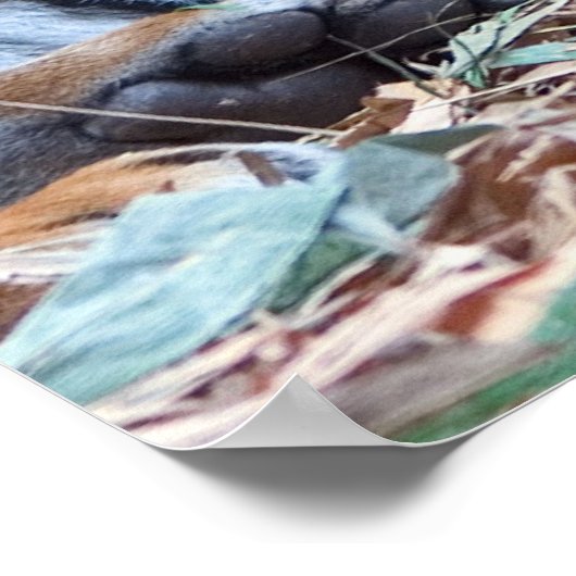 虎の目 ポスター (角)