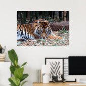 虎の目 ポスター (ホームオフィス)