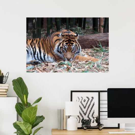 虎の目 ポスター (ホームオフィス)