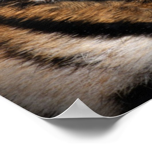 虎の目 ポスター (角)