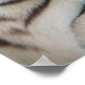 虎の目 ポスター (角)