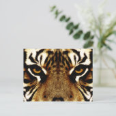 虎の目 ポストカード (スタンド正面)