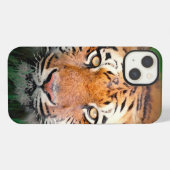 虎の目 iPhoneケース (裏面横)