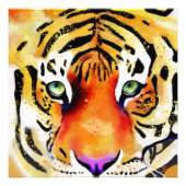 虎の視線を捉える フォトプリント            (正面)