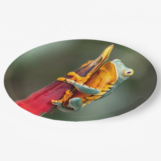 虎の足をするサルの木蛙緑 ペーパープレート (アングル)