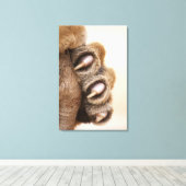 虎の足 キャンバスプリント (インサイチュ (ウッドフロア))