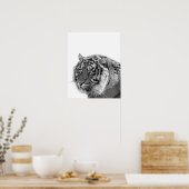 虎の野生のジャングル動物の写真の白黒 ポスター (キッチン)