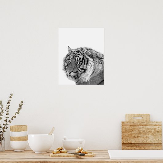 虎の野生のジャングル動物の写真の白黒 ポスター (キッチン)