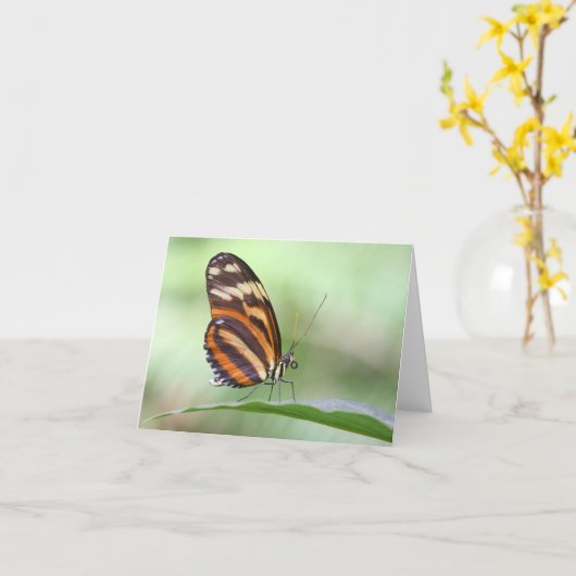 虎の長い翼 カード (黄色い花)