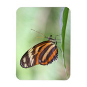 虎の長い翼 マグネット (縦)