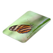 虎の長い翼 マグネット (左側)