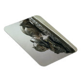 虎はアリゲーターを食い荒らし， 1832 （ブロンズ） マグネット (右側)