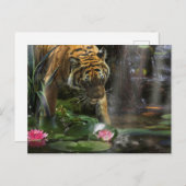 虎は激しい平和を必要とする ポストカード (正面/裏面)