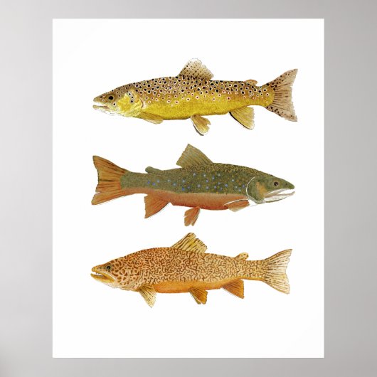 虎を作る ポスター (正面)