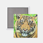 虎クール冷蔵庫又はロッカー磁石 マグネット (正面/裏面)