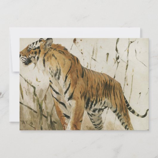 虎勉強 | ウィルヘルムクハルト (正面)