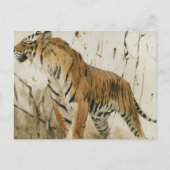 虎勉強 | ウィルヘルムクハルト ポストカード (正面)