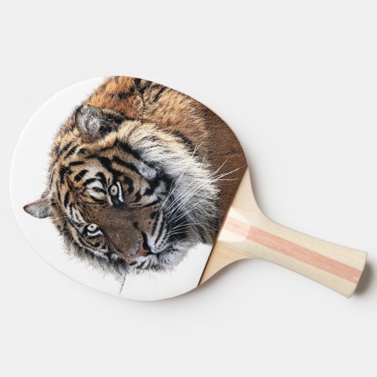 虎動物の野生のジャングル動物園の写真 卓球ラケット (横)