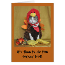 虎猫および白い猫の感謝祭カード