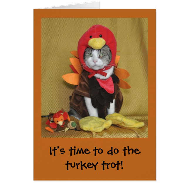 虎猫および白い猫の感謝祭カード (正面)