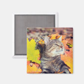 虎猫が葉の中でバキング マグネット (正面/裏面)