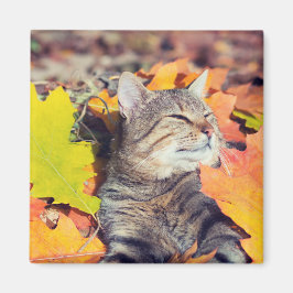 虎猫が葉の中でバキング マグネット