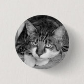虎猫とホワイトキャット顔 缶バッジ (正面)