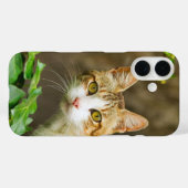 虎猫と白い猫とツタ Case-Mate iPhoneケース (裏面 (横))