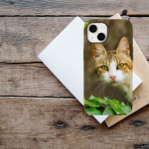虎猫と白い猫とツタ